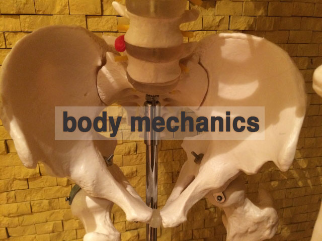 body mechanicsとは　湘南あしケア訪問サービス